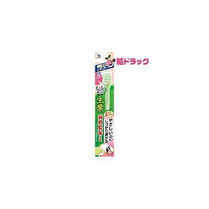 y񂹁z    t傤悤 ӂӖuV uV M[wbh 炩 ^R΍ 1{ [