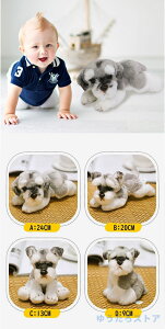 ʂ  ViEU[  Ck l`  A ybg 킢 ʂ ~j \tg V~[V q̂߂̂킢 A ObY q a j