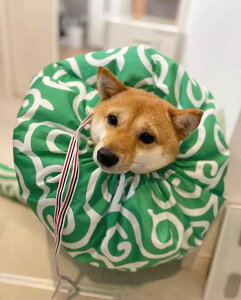 ybĝCyɂȂ TCYS M ybgCpi  Z t[  킢 ybghC[ 4TCY ybgpi Lp y ʋC ybgp ybg