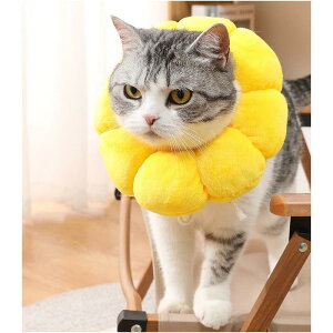 GUxXJ[ L  ybgpi pEFA y _炩 \tg z 킢 Ђ܂ ی  rߖh~