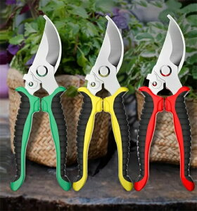 ΂ |pnT~ }؂͂ ₷ ~߃nh XeX ͂ }؋ K[fjOnT~ ؂ ؉  ƒ؉ | A  A ʎp K[