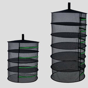 hCt[c hCt[c ۑH 4i    ؃Zbg 6i V  Ђ 銱 ؃Zbg NH ۑ  AEghA Lv h 