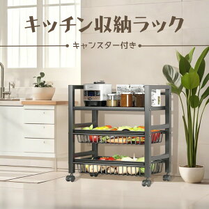 Lb`S 3i LX^[t [Ƌ Lb`Ƌ LX^[ t Lb` [ S ʏ ubN l炵 PgC V Aissiora