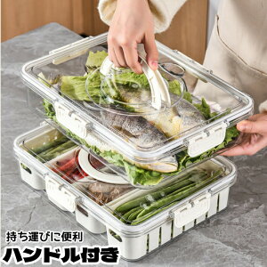 ①Ɏ[{bNX [P[X ؎[ ۑe -20`60  [ Lb`[ [BOX t^t PP nht d؂ ؂ Nxێ  t[c PETf r