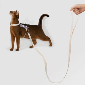 Lpyʃn[lX Lbg n[lX EȒP t[TCY L lR U [h o s qXq  Light Cat Geary[֑z