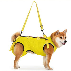  n[lX pn[lX SgT|[g s⏕ ^ ^ V V O 둫 ⏕ ybgp s⏕n[lX pn[lX EȒP ߉\  p  aC  n