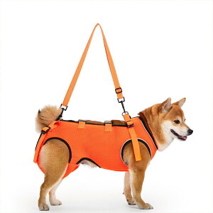  n[lX pn[lX SgT|[g s⏕ ^ ^ V V O 둫 ⏕ ybgp s⏕n[lX pn[lX EȒP ߉\  p  aC  n