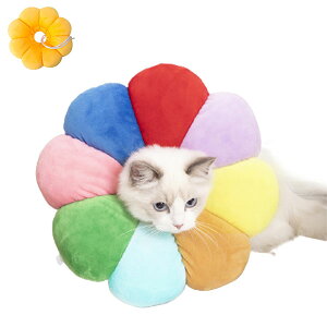 GUxXJ[ L   \tg^Cv _炩 NA ی  pPA ybg h~  ی p  r Ռz 킢  ybgpi