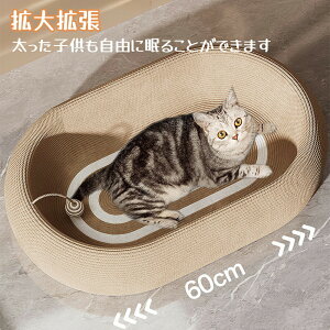 L ܂Ƃ ܌ L܌ _{[ XNb`[ KK 芷\ ߂Ƃ RpX L Lxbh XgX ی` i{[ ܖ 