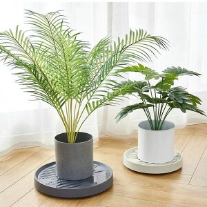 Aؔ tړԑ  u v^[pM g[ v[g 360°]LX^[t  |bN ړ֗ ϗtA  u A ԑ  pr 9T