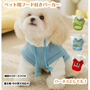 ybg  H~ pp[J[ m H~ h R[g lC t@bV  _炩 g ^ L ybgpi h ΍ \ q Lp TCYI U 