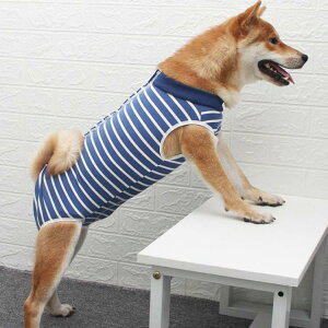 p㕞 p  pEFA ی앞 앞 ی rߖh~ 畆ی D  sDp {^^Cv Yp ^