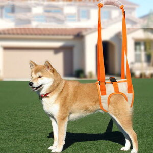 p n[lX s⏕n[lX  둫 ^ ^ ^p hbOn[lX V sT|[g ⏕ U p  Ck pi pi  ybgpi