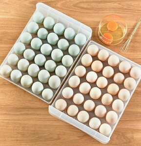 P[X  ①ɗp Wt 60[ 1w/2w oNAP[X  cu  [z_[ ܂P[X ʎq {_[ h~ ȃXy[X [ Lb`pi