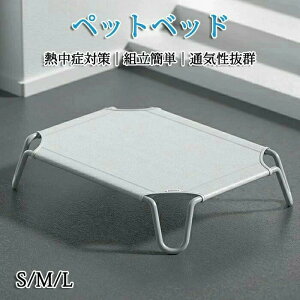 ybgxbh rt p Rbg ʋCQ Ȃ ʂǂ ybgpi Lvxbh  xbh nbN RpNg[ |[^u ^ xbh Lv ې􂢉\ 