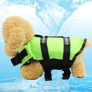 p CtWPbg ^ ^  V j CtxXg t[eBOxXg C  ~ ˃C S ̖h~ S nr pi ybgpi 