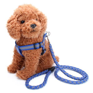 2_Zbg [h×n[lX  v`v ybgObY pi n[lX ˍ 120cm [h ^ ^  ^ ˃e[v O[h S S gCv[h ` u