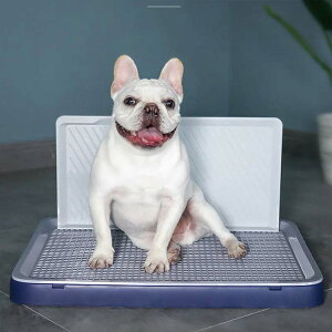 hbOg[ pgCg[ V[cjh~ p gC ǕtgC h~ Uh~ bVt g[jOg[ ȒP ې􂢉\ |