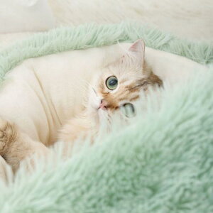  xbh ӂӂ L ybgxbh 65cm 傫 ^ ^ ybgxbh Lp g NbV Lxbh Ck  􂦂 ˂ lR  pNbV ybgpi Q h 