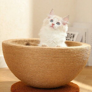 CeAזȂ傫Ȓ܂Ƃ 2in1@\L܂Ƃ L˂xbh ܖ ߂Ƃ 킢 L lRxbh ߂Ƃ ܌  ^sP v