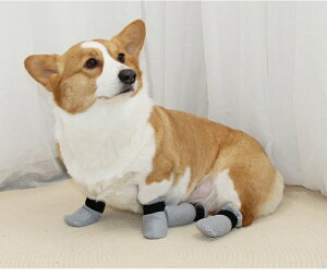 lRC 4 LJo[ L̑Jo[ LC LJo[ ܐ؂⏕ ʉ@ _ | _H⏕ h~ ی C LC L PA u[c V[Y یJo[ 