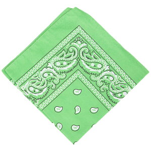 o_i fB[X Y XJ[t 唻 傫 55cm yCY[ 唻nJ` nJ` Op  킢  JoLx F