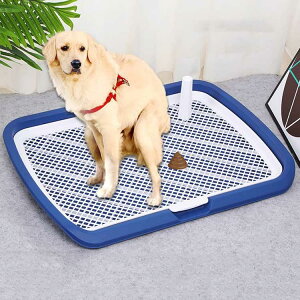 ybggCC[ ^gC gC Ch p }[LO|[ t`t g[jO  bV EH[g[ {bNX