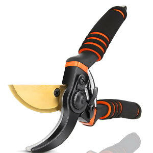 ΂ oT~ 2iK߉\  p |p͂ SK85Yf|n Kтɂ K[fjO ₷}؂͂ ~ ϗtA