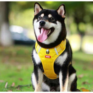  n[lX ^ ^ ^ Č Ȃ ɂ bN S̏Ȃ Xebvn[lX EFAn[lX p nht XS S M L