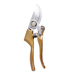 ΂ oT~  ͂ nT~ 30mm  K[f | }؂ }؂΂ bN  K[fpi |H A؉  K[fjOpi  K[fjO Ԃ̙ ʎ 