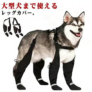 Xy_[tppc ̌C TXy_[ l{pc o ^ ی h~ bOJo[  ~  U