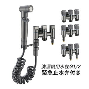 @p ً}~ٕt @֌ O \z[p ^J ~@\t  th~ ւp  @֌pjbv Of WG1 / 2 O 