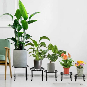 t[X^h 500~N[|zzI rO֑Ή Lr5g O  p ACA  K[fjO ϗtA u ̓蕨 av[g X܏ x