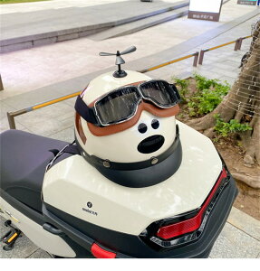 S[Ot wbg ] lp Z jp p Lbv oCN ] TCNwbg n[twbg w X fB[X Y  oCU[t 