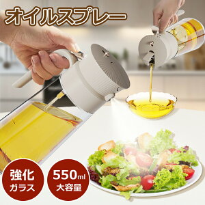 �I�C���X�v���[ ������������������ 2WAY�g���� �m���t���C���[ �I�C���X�v���[ �t���ꂵ�Ȃ� �I�C���{�g�� �I�C���|�b�g ���� ������ �X�v���[�{�g�� �����p �L�b�`���p�i �~�X�g�X�v���[ 