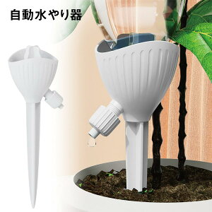  ybg{g 6Zbg ƒp A  莩 ϗtA ybg{g Lbv K[fjO |pi U | ~ mizuyariki62