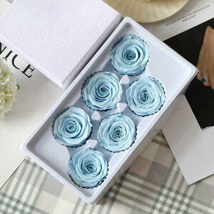 vU[uht[ 16֓ ỉ i ͂Ȃ o Mtg KN [Y v[g hCt[ Ǝ ̓ l l a j  ޏ LO e ސE