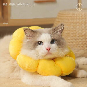 GUxXJ[ L   p ܐ؂ ی ~h~ \tg NbV p