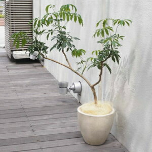 Aؔ  Zg tHIGbO (2F) 10 30cm  N[ ubN  x[W _[NO[ t@Co[ RN[g v^[ 킢  Jo[ K[fjO 