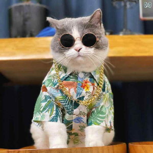 ^    Vc   efB q  L  h~ ^ S[fgo[ F Gn