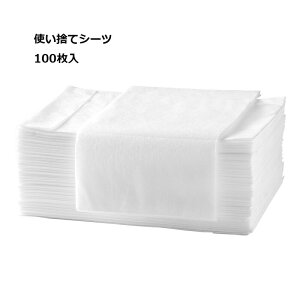 ĝăV[c y[p[V[c sDz xbhV[c e@p zCg 80x180cm 100  hȂ e@ GXep Tp fBX| V[c GXepi `p ʋC ڍ@ @ 