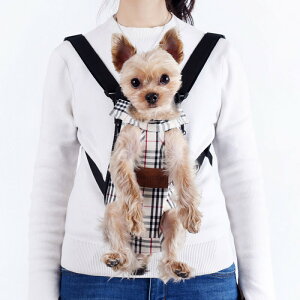 ybgobO@p obN R ԂЂ XO ybgL[ bN^ p Lp V_[ ʋC AEghA s o֗@yVCOʔ