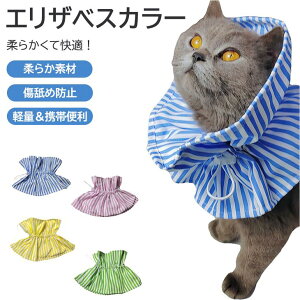 GUxXJ[ L \tg lR t _炩 TCY t ȒP Lp X^C 킢 z ی  y ߉\ qL 킢  pPA   D