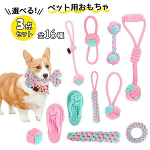 3_Zbg    [vgC S    v[g [v  pߋ Rbg ybg   p [vgC I` XgX V 