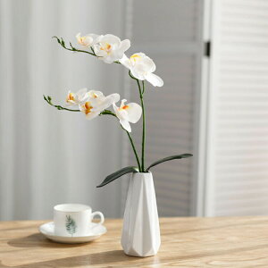 ~jTCY Ӓ  G} 2{ j A[gt[  STCY  sN v[g JX J@j  e[uTCY RpNg ̓ ̓ hV̓ {