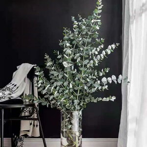 ԕr KX ^ t[x[X ԕr  傫 KXԕr KXx[X } } 30cm 25cm 20cm ~ NA  Vv L O t[x[X k CeAG Ԋ 