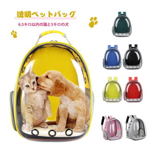 ybgobN ybgpi ybgpibvUbN ybgobO V_[obO/bN ybgobO /ʋC/lGKp/pǂ ̒ʋCE+ʋCbV݌v 