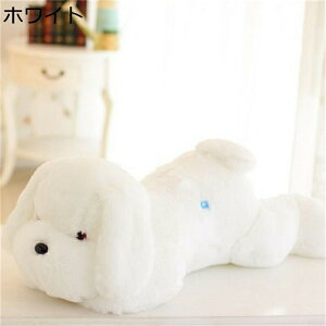 D  ʂ 킢  傫TCY GG n Q PP tt _炩 j a NX}X ޏ ގ v[g