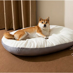 p}bg xbh Lxbh lGʗp 􂦂錢p}bg tybg}bgLxbh ˂ t lGʗp 􂦂  ^ Lbg xbh  ӂӂ 킢 ӂӂ g