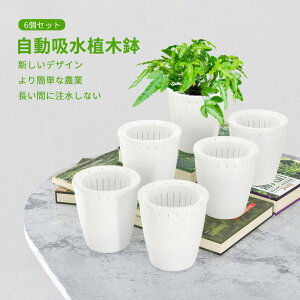 6Zbg zAؔ 360°ʋC̐Aؔ fXNgbv ~` ItBX kƃvC~O~n ӂҌAؔ ~ Aؔ A ȒPȔ_ ԂɒȂ |b